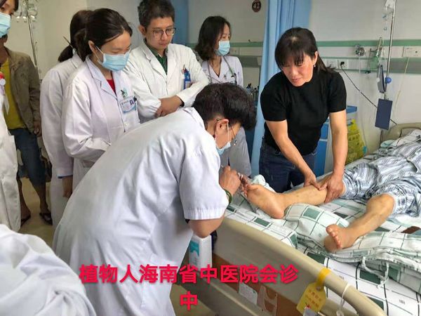 金掌派非遺技術(shù)海南省中醫(yī)院傳承班